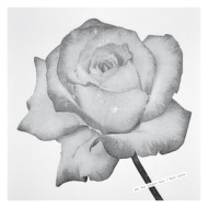 FOR LOVERS ONLY / RAIN SUITE