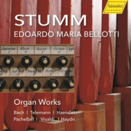 STUMM ORGAN