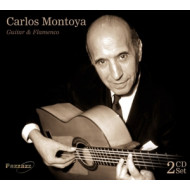 GUITAR & FLAMENCO