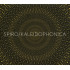 KALEIDOPHONICA