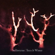 TREES IN WINTER