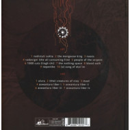 ROOTS OF SARASWATI