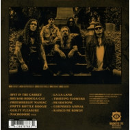 GRAVESIDE GRIN