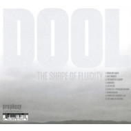 THE SHAPE OF FLUIDITY