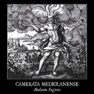 ATALANTA FUGIENS