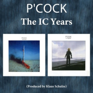 IC YEARS, THE: THE PROPHET & IN 'COGNITO'
