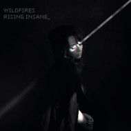 WILDFIRES