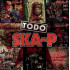 TODO SKA-P