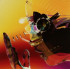 MOTION GRAPHICS
