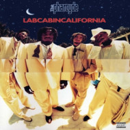 LABCABINCALIFORNIA