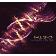 SO BEAUTIFUL.../PAUL SIMON