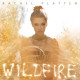 Wildfire<br/><h5>Megjelenés: 2016-01-01</h5>