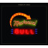 MECHANICAL BULL