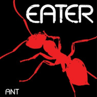 ANT