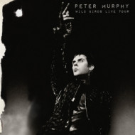 WILD BIRDS LIVE TOUR