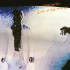 (ICE BLUE) BLOOD ON THE MOON