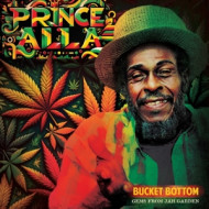 BUCKET BOTTOM- GEMS FROM JAH GARDEN