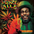 BUCKET BOTTOM- GEMS FROM JAH GARDEN