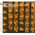 Bach: Goldberg Variations, BWV