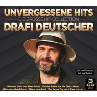 UNVERGESSENE HITS