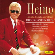 DIE GROSSTEN HITS