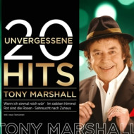 20 UNVERGESSENE HITS