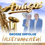 GROSSE ERFOLGE - INSTRUMENTAL