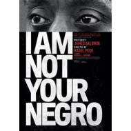 I AM NOT YOUR NEGRO