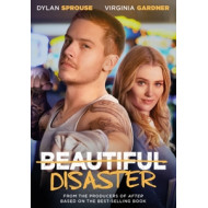 BEAUTIFUL DISASTER