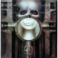 Brain Salad Surgery