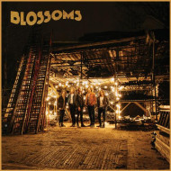 BLOSSOMS