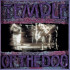 TEMPLE OF THE DOG
