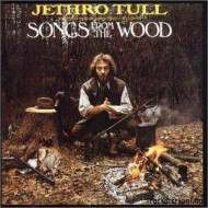 SONGS FROM THE WOOD (180 GR 12")  LP