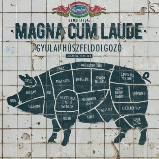Magna Cum Laude Gyulai Húszfeldolgozó (CD) | Lemezkuckó CD bolt