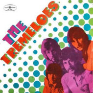 Here Come The Tremeloes