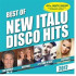 Best of New Italo Disco Hits