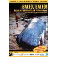 BALEO, BALEO!