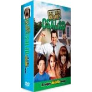 EGY RÉM RENDES CSALÁD - 5.ÉVAD (3 DVD)