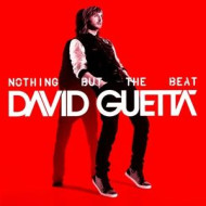 Nothing But The Beat (LTD) 2LP