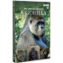 BBC VADVILÁG SOROZAT - A GORILLA
