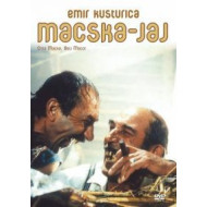 MACSKA - JAJ