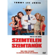 SZEMTELEN SZEMTANÚK /Tommy Lee Jones,/