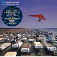 A Momentary Lapse of Reason (Remixed & Updated) CD+DVD