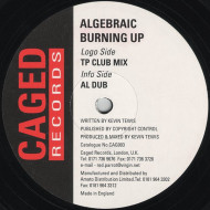 Burning Up