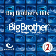 Big Brother's Hits