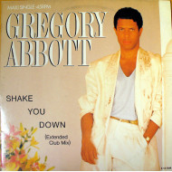 Shake You Down (Extended Club Mix)