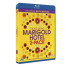 THE BEST EXOTIC MARIGOLD HOTEL (BLU-RAY)(2 PACK)