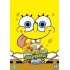 THE SPONGEBOB SQUAREPANTS MOVIE