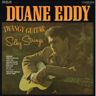 Twangy Guitar Silky Strings