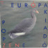 Pop Zene
